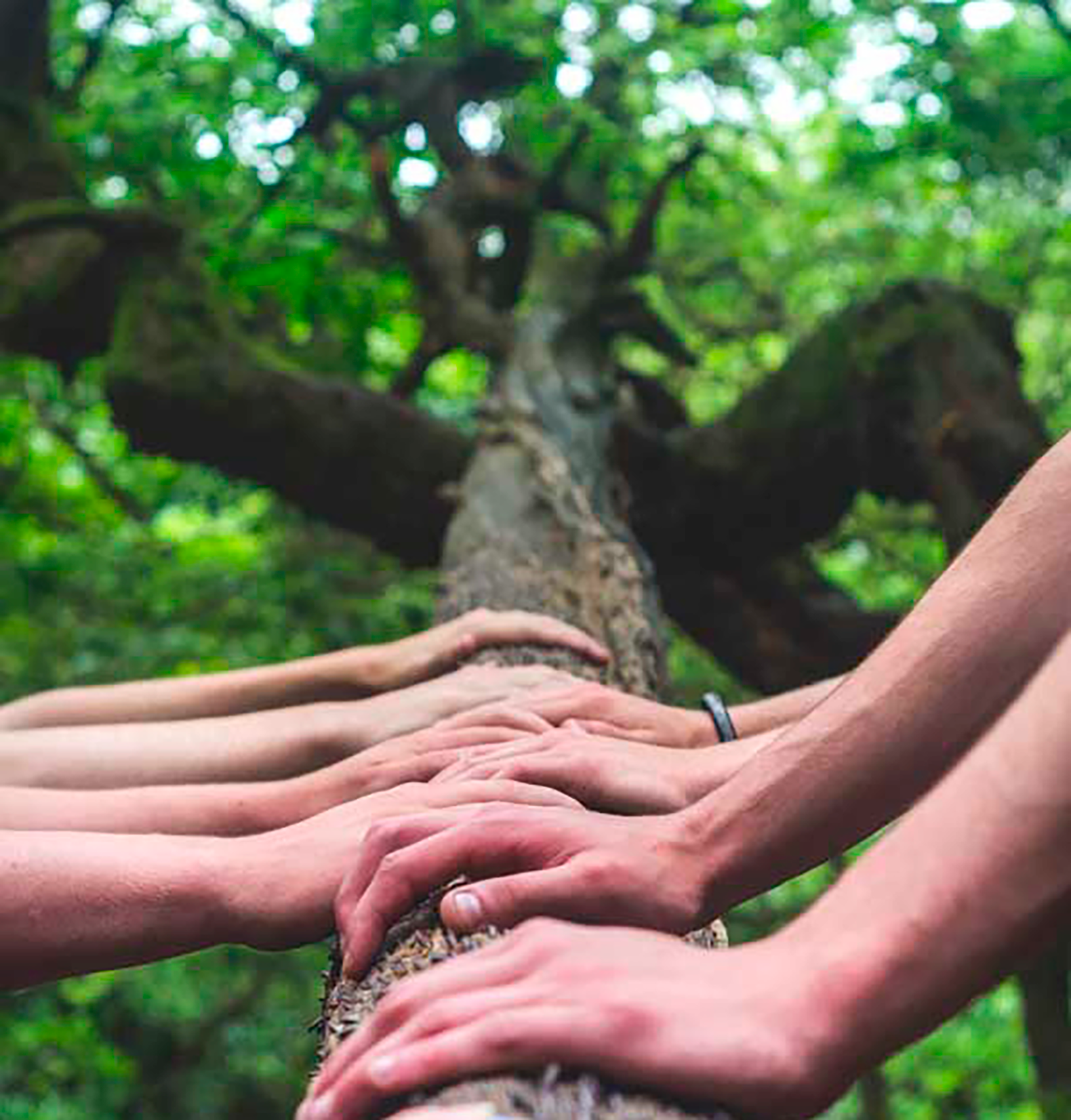 Pædagogiske dage i daginstitutioner og skoler.