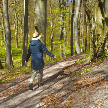 Ro og fredfyldt væren - guidet nærvær i krop og sind ved Møns klint, 3 timer